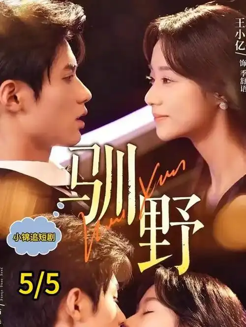 医疗职场剧白色回声全集免费在线观看